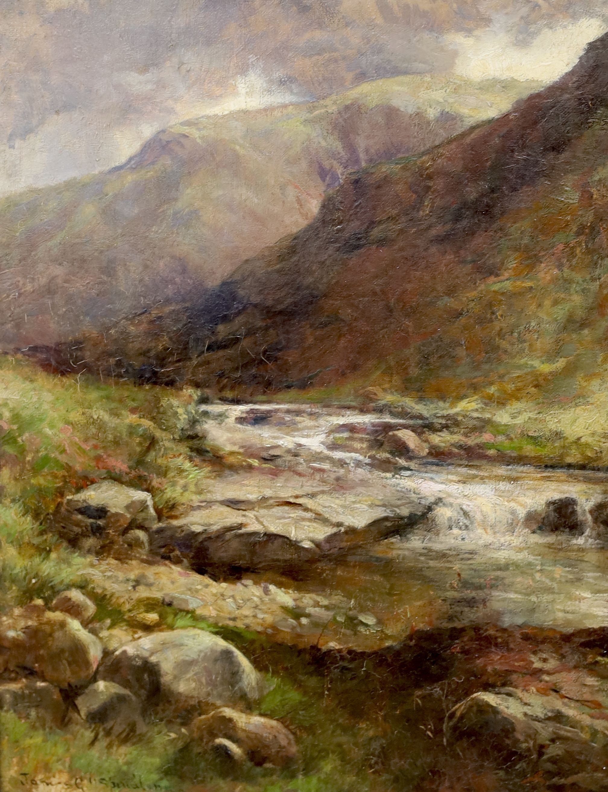 James G.H. Spindler (1862-1916), oil on canvas, Mountain stream, signed, 42 x 32cm